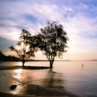 cc攻击免费网页版